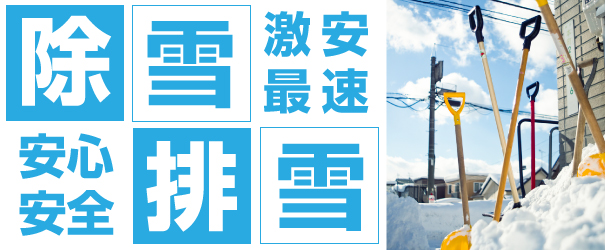 秋田県で除雪作業、屋根の雪下ろしや雪庇落とし作業なら秋田便利屋ドットコム！