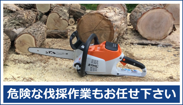 危険な木の伐採作業なども秋田便利屋ドットコムにお任せ下さい！