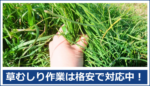 草むしり、草刈り作業なら、秋田便利屋ドットコムにお任せ下さい。